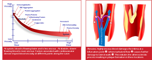 Whole blood viscosity assessment is most useful when both diastolic and systolic viscosity are measured.
