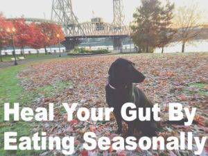 Heal Your Gut by eating with the seasons and unleashing the power of Ayurvedic medicine