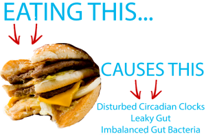 SAD Diet Disturbs Circadian Clocks Leading to Leaky Gut and Imbalanced Gut Bacteria