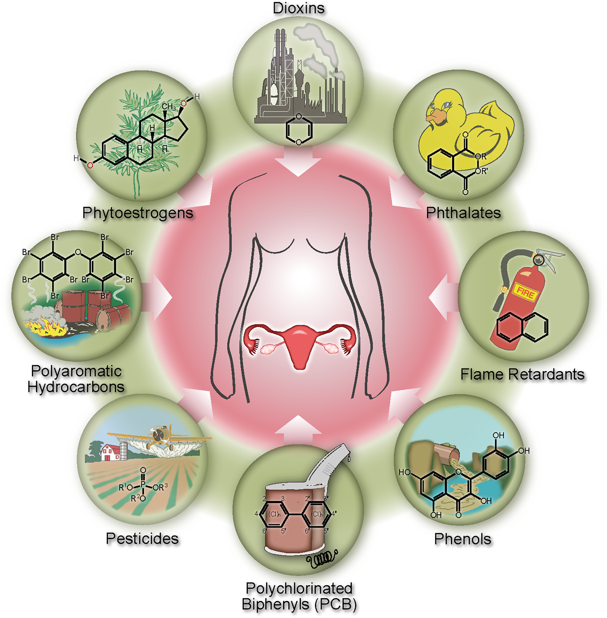 Environmental Toxins Linked To Early Menopause