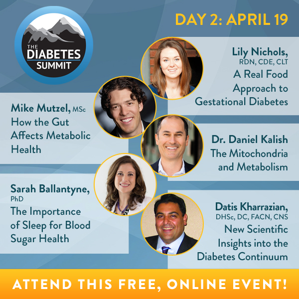 The Diabetes Summit Mike Mutzel 
