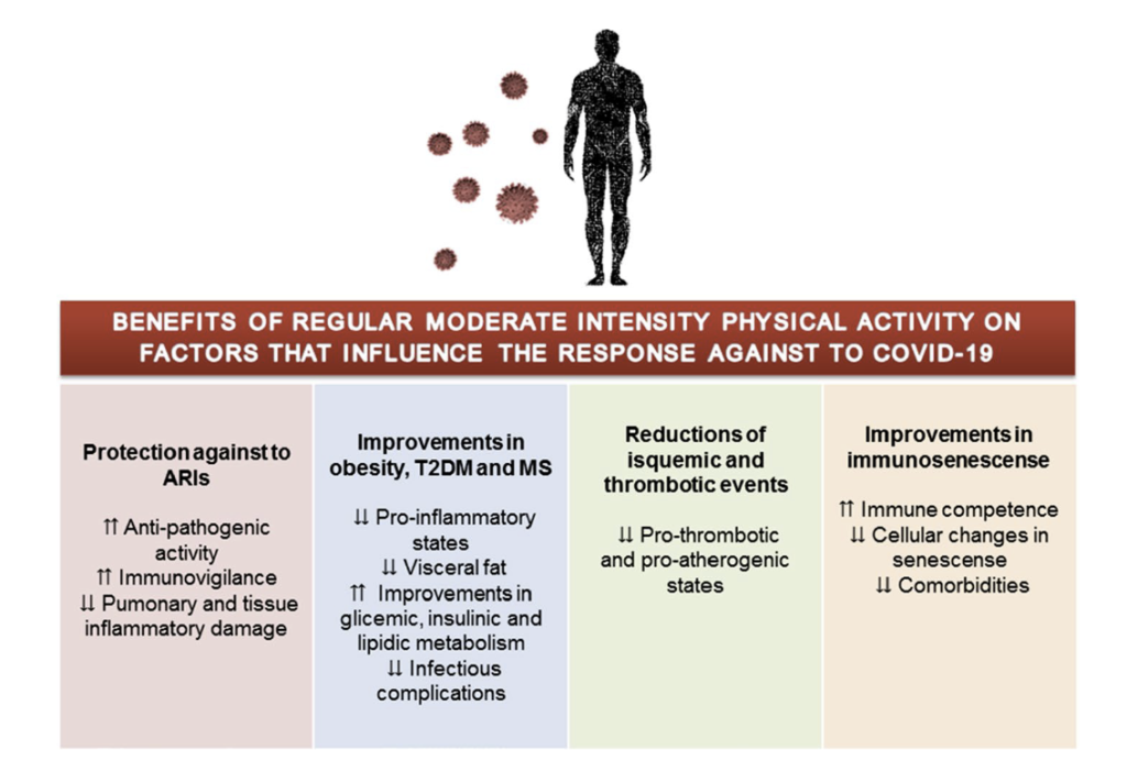 Benefits of regular moderate-intensity physical activity on factors that influence the response against to COVID19. Source: The Authors (2020)