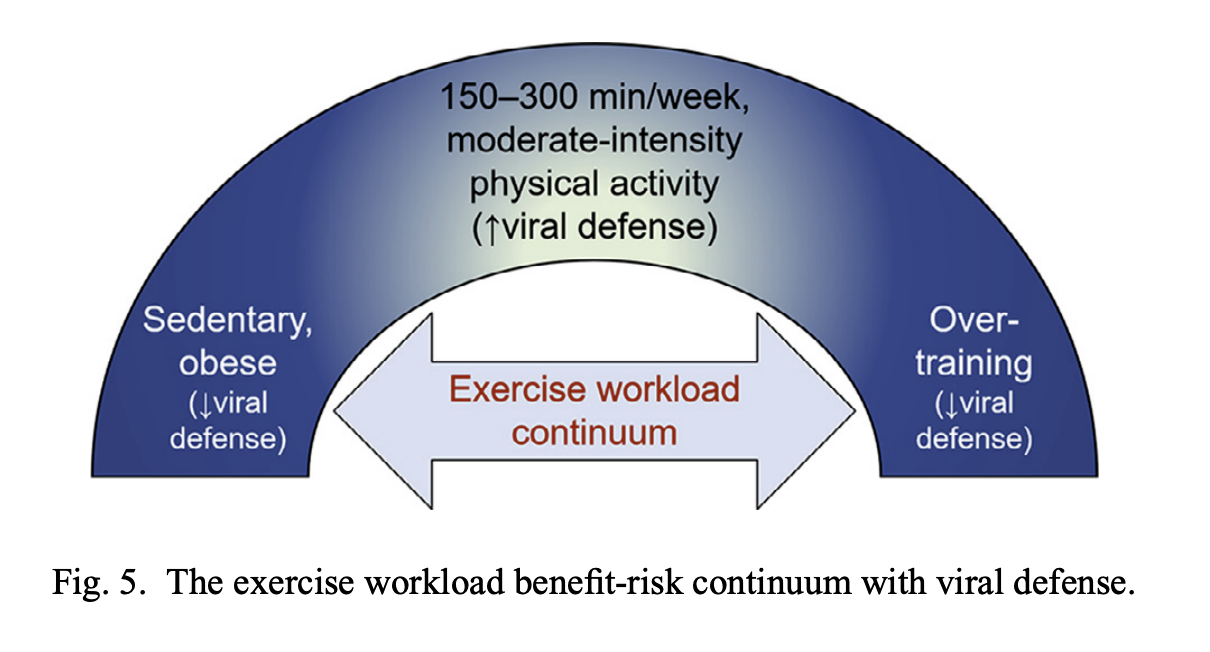 Regular, modderate-intensity physical activity improves immunosurveillance against pathogens and reduces morbidity and mortality from viral infection and acute respiratory illness. 