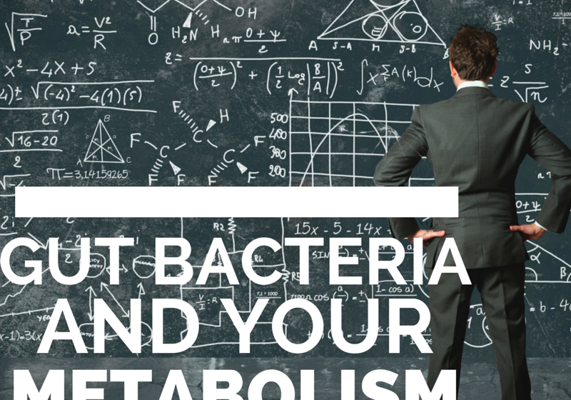 The Main Ways Gut Bacteria Interfere with Your Metabolism