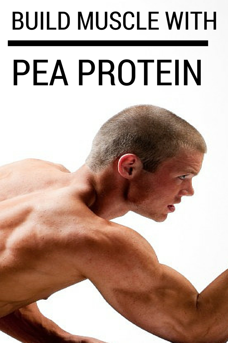 Whey Protein VS Pea Protein What is the Best Protein Powder for Weight Loss?