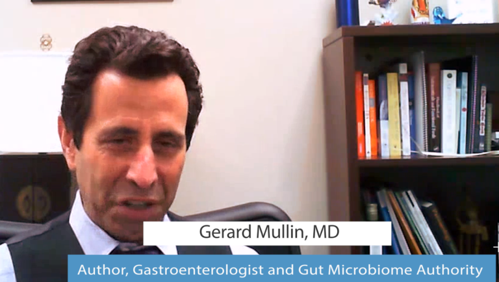 fat loss diet changes gut bacteria w/ Gerard Mullin