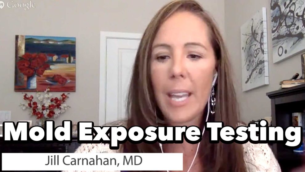 Jill Carnahan, MD- Mold Toxins & Mold Testing & Explained