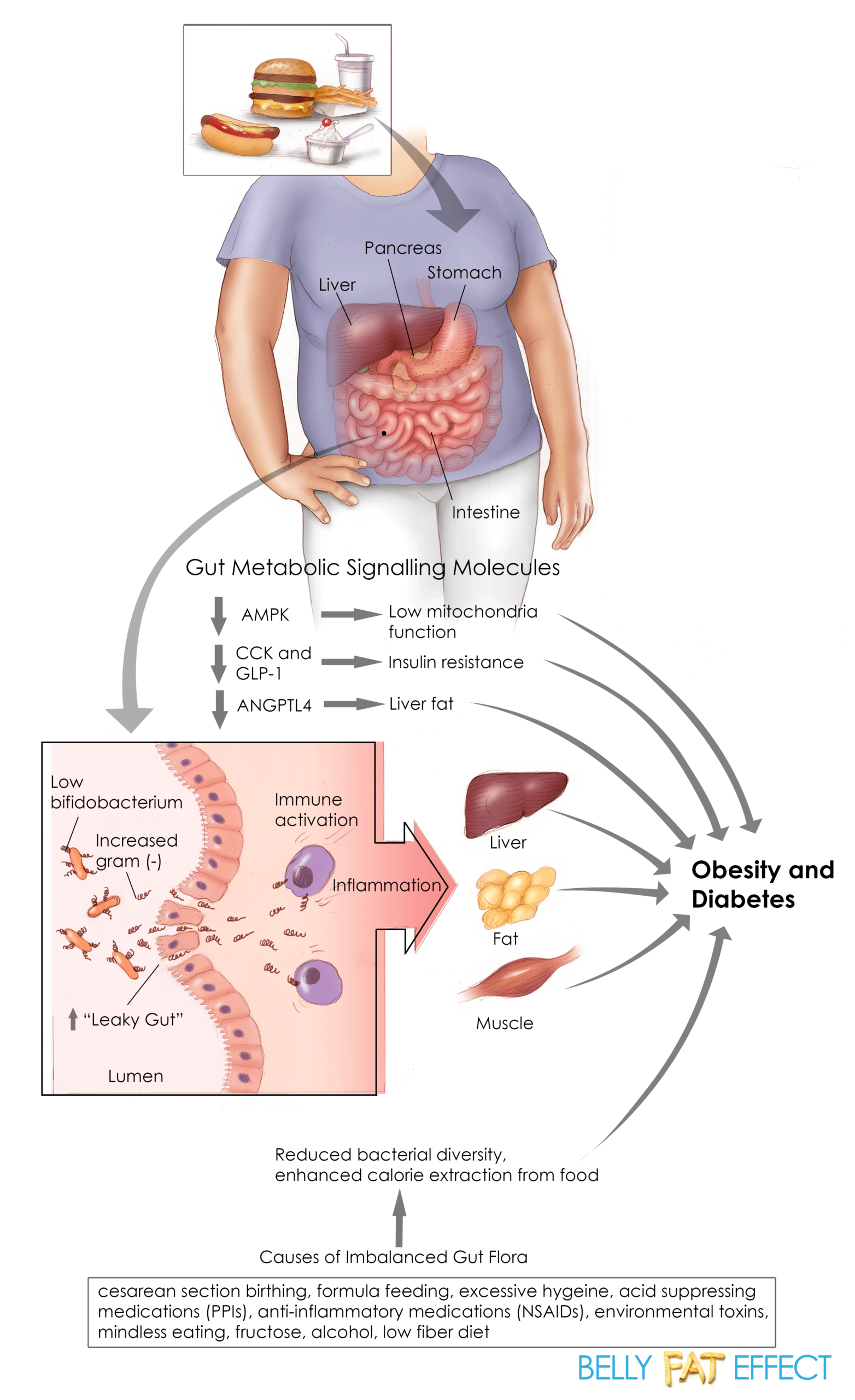 #123: Liping Zhao, PhD: Changing Gut Bacteria Ecology w/ Chinese ...