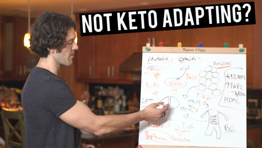 Keto Adaption and Your LIver