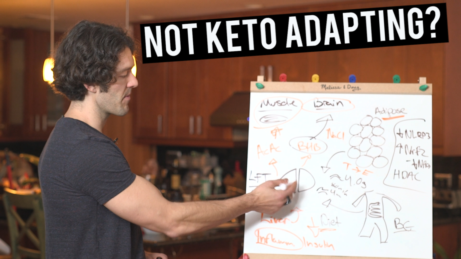 208 Keto Adaptation And The Gut Liver Axis High Intensity Health Mike Mutzel