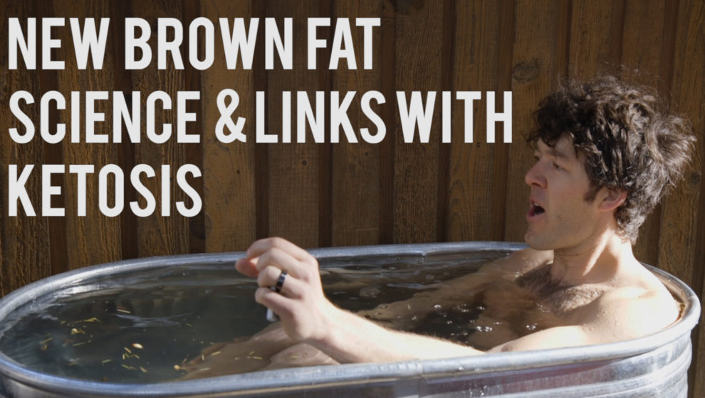 Cold Plunges, Ketones & Brown Fat: Links & Connections