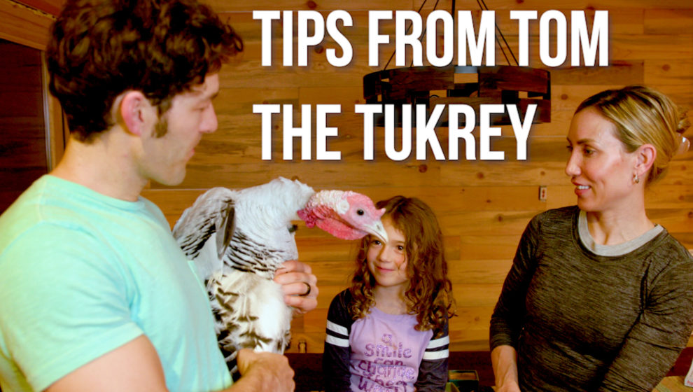 Avoid Overeating + Turkey Meat Fun Facts