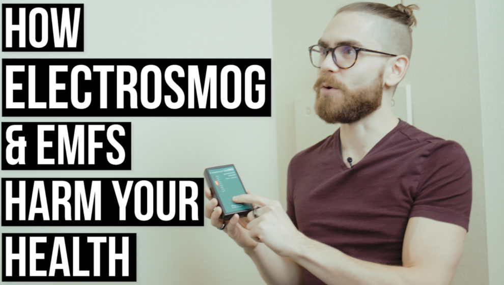 EMFs Electrosmog (wifi & cell phones) & Your Health - Nick Pineault