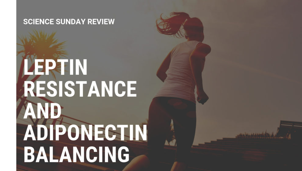 Leptin Resistance Fat Loss and Adiponectin Balancing
