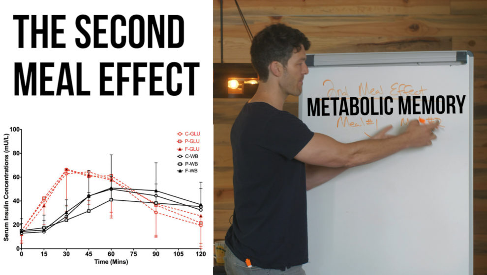 The Second Meal Effect Blood Sugar and Insulin