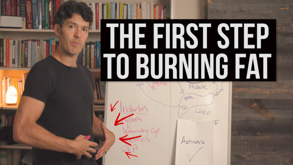 How to burn fat (science explained)