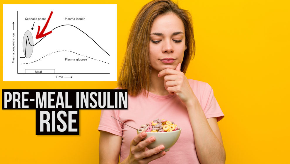 Pre Meal cephalic Insulin response