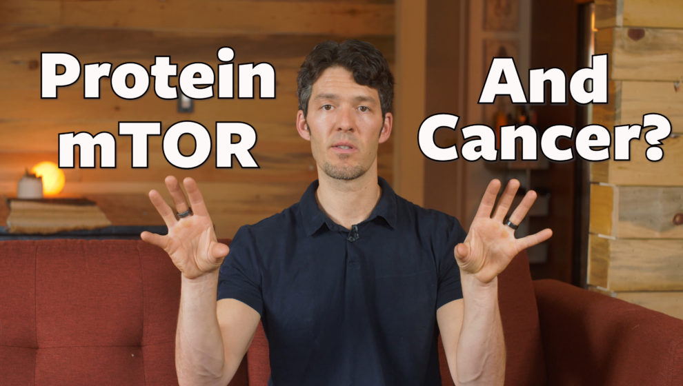 Protein mTOR and Cancer