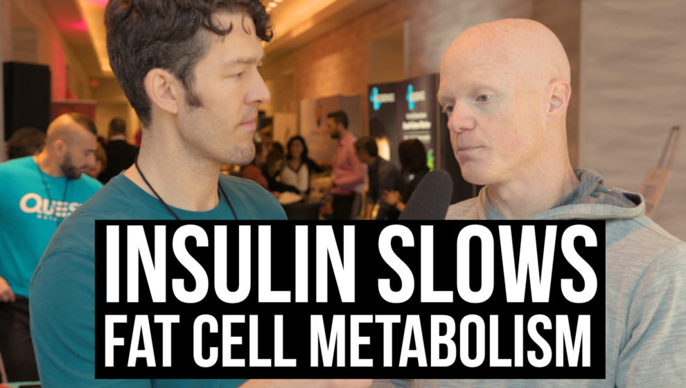Insulin Slows Metabolism (of your fat) with Ben Bikman