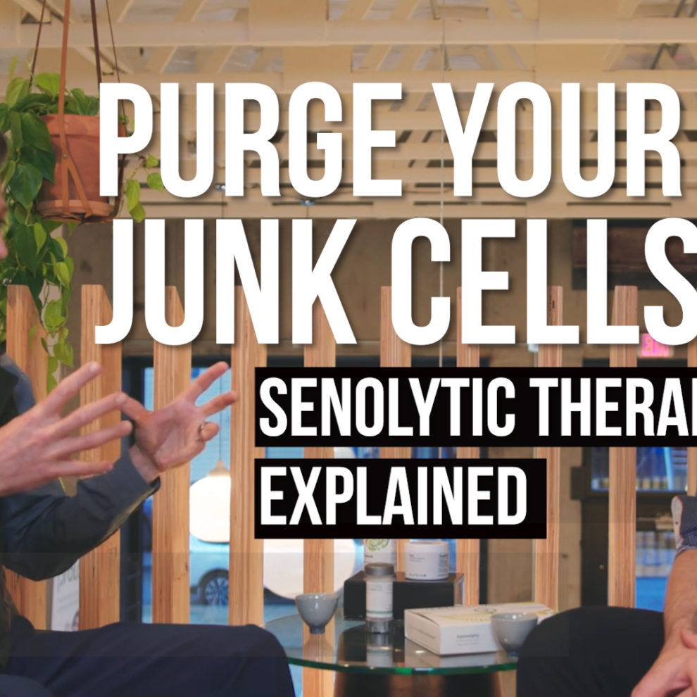 Senolytic Therapy cellular senescence Jeff Grim