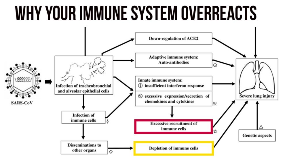 Why-Your-Immune-System-Overreacts to SARS-COV-2