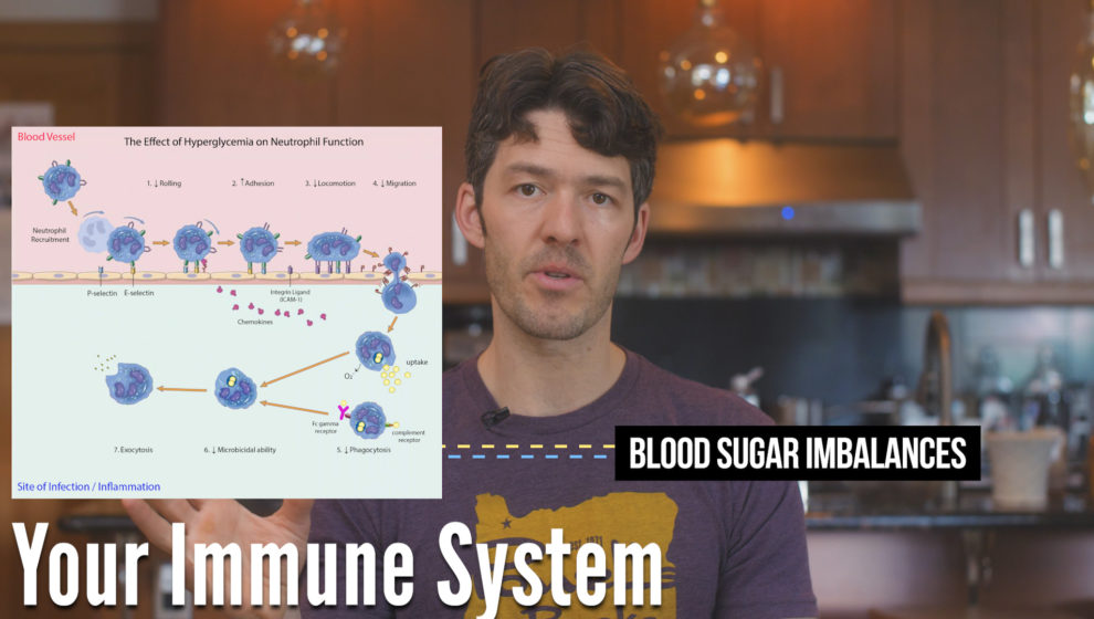 Your Immune System on Sugar