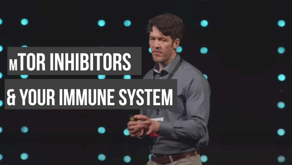 mTOR and your immune system
