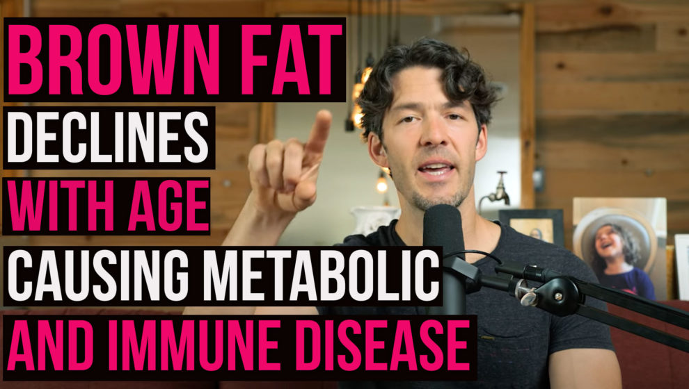 Brown Fat Declines as You Age Driving Metabolic and Inflammatory Disease