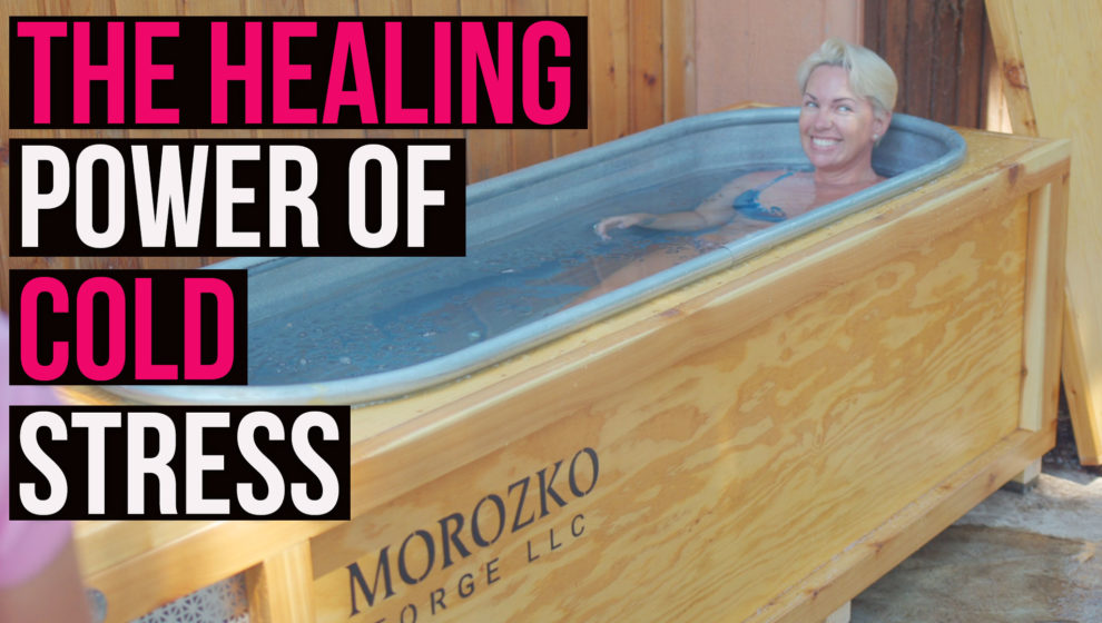 Cold Plunges, Ice Baths: Beneficial Stress (hormesis) w/ Surprising Health Benefits