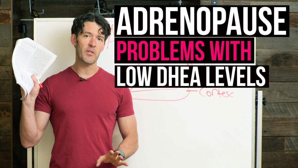 Adrenopause, Low DHEA & Low Testosterone: Facts You Should Know