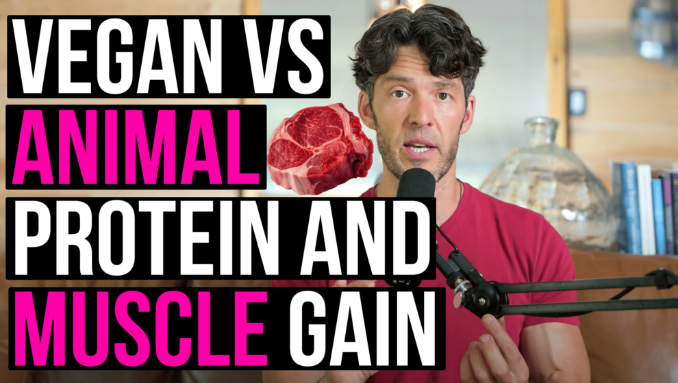 vegan-vs-animal-protein-and-muscle-gain-
