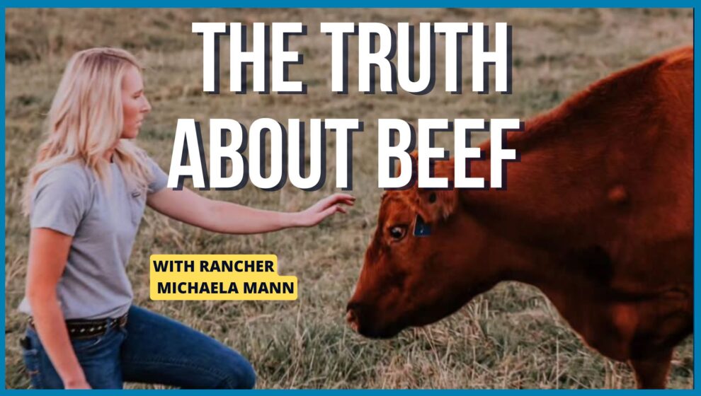 Grass-Fed VS Grain-Fed: A Rancher’s Take on Beef & Nutrient Quality