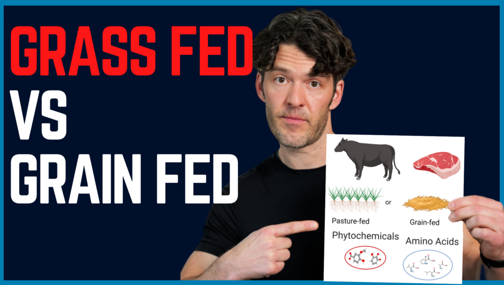 Is Grass-Fed Beef Worth the Hype? The Science Will Surprise You